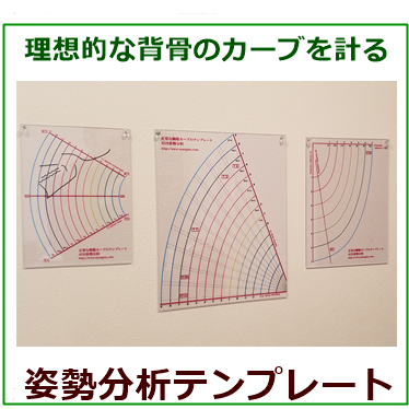 姿勢分析テンプレート